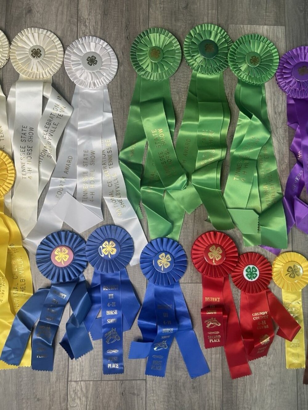 Show Ribbons 4-H Club Rosettes Craft Equestrian Tennessee Shelbyville Lot Of 19 - Picture 4 of 16